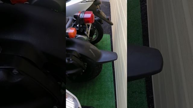 Honda Dunk, Honda Zoomer, Honda Dio без пробега по РФ