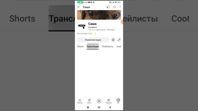 КАК ПОДПИСАТЬСЯ НА МОЙ ТГ КАНАЛ?!?