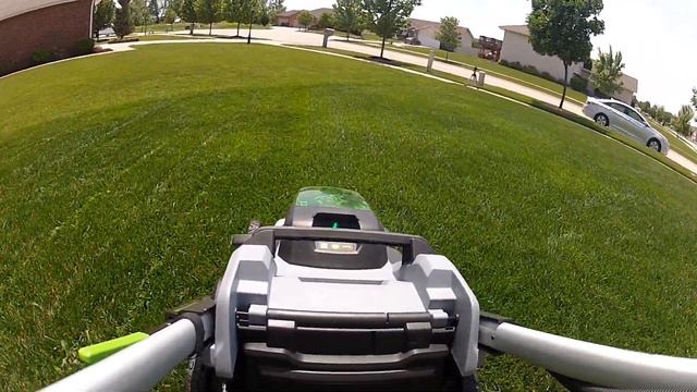 How Often Should You Mow The Lawn?