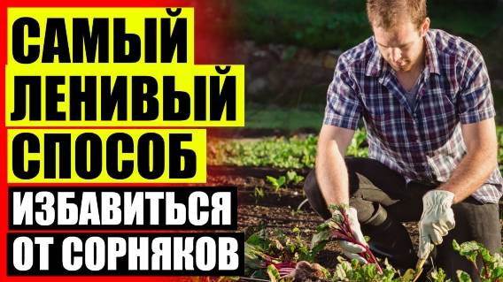 БОРЬБА С СОРНЯКАМИ И ВРЕДИТЕЛЯМИ 😎 ПОЧЕМУ ЧЕЛОВЕК ВЫНУЖДЕН ВЕСТИ БОРЬБУ С СОРНЯКАМИ