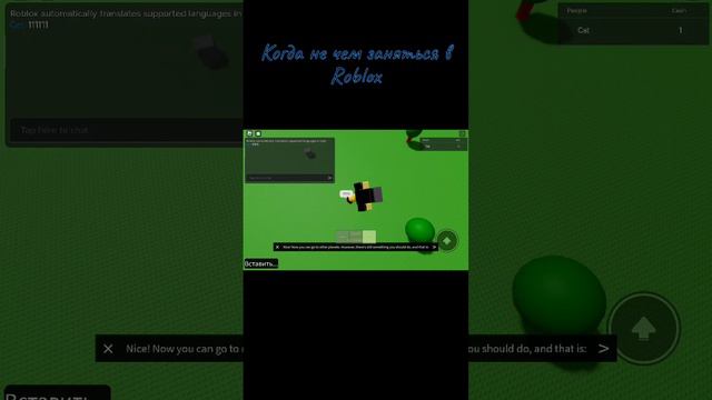 Roblox когда заняться нечем