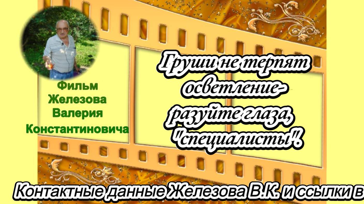 Груши не терпят осветление - разуйте глаза,  "специалисты".