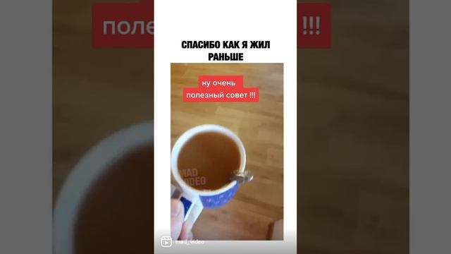 Забавные Видео