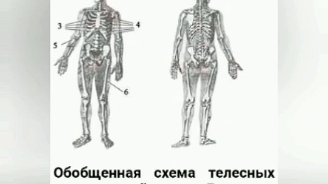 Четверо задохнулись в ручье. Людмила Дубинина.