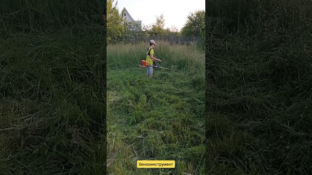 ГУБКА БОБ в Нашей Вселенной Первый раз Успешно осваивает бензоинструмент