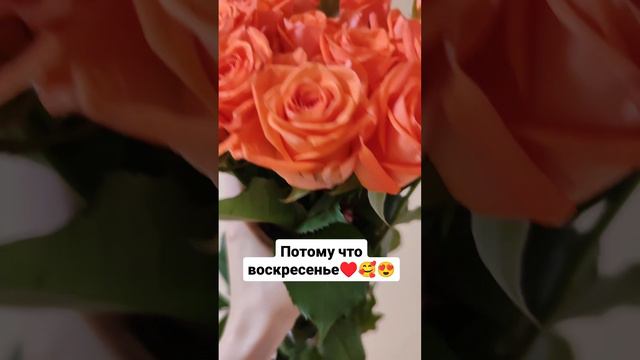 Потому что воскресенье ♥️