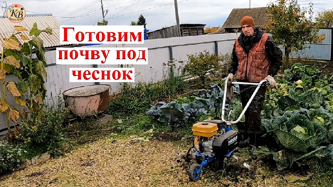 Культивируем и готовим землю под чеснок!