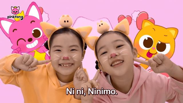 Kitty Song More and More ｜ Baby Kitty ｜ Ninimo ｜ Meow Meow ｜ Pinkfong Baby Shark Kids Song