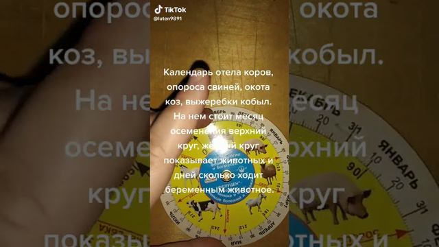 Календарь родов у сельскохозяйственных животных.