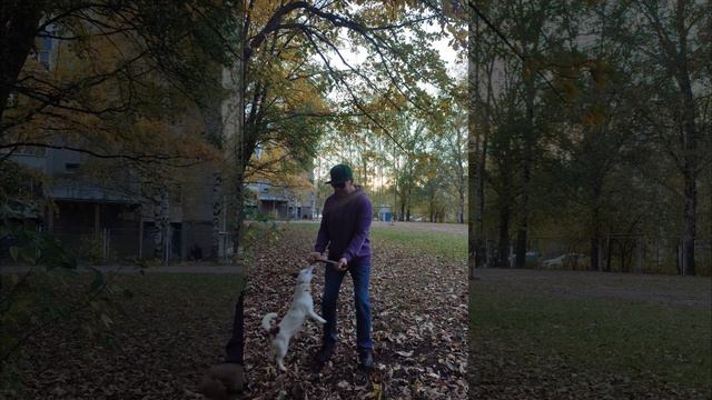Прогулка с Беллой 😎🐶🐾