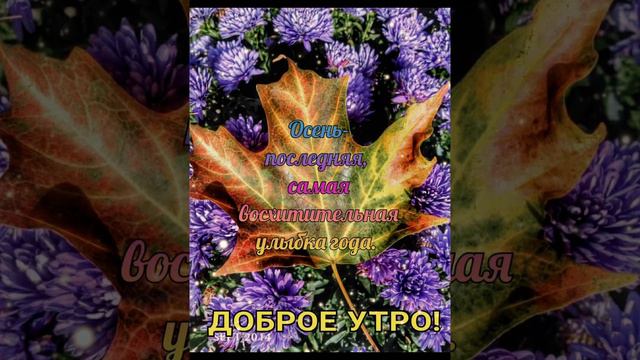 С добрым утром понедельника 🌞🌈🌷🍁🍂