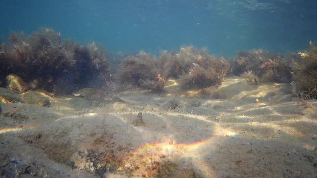 Красивое осеннее мелководье Черного моря.