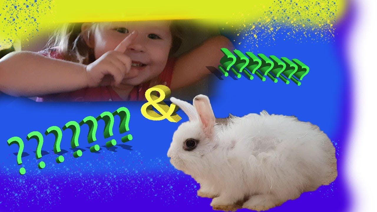 Василиса играет с кроликом в прятки.Hide and seek.