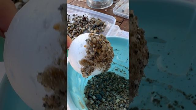 Мои работы попали на разворот в печатной версии журнала Редлилия!