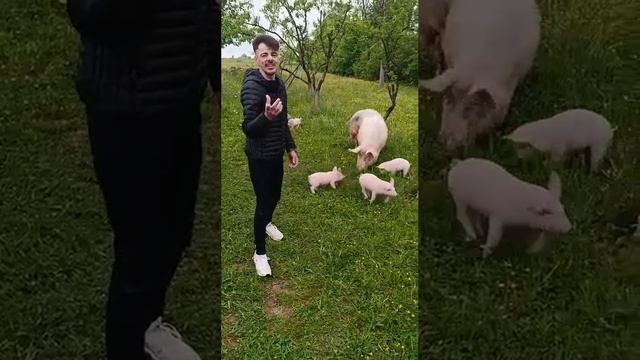 🤡🐷 Выступление с обращением в стихах к гражданам усраины 🐖
В стране 404 без перемен.)
