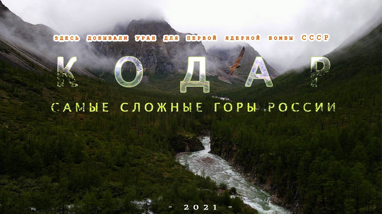 КОДАР СУРОВЫЙ - ТРЕЙЛЕР