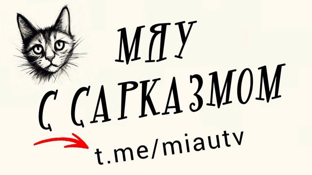 МЯУ С САРКАЗМОМ