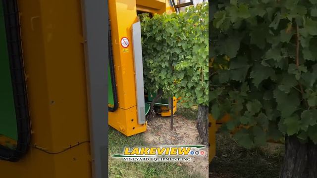 John Deere 6420 and Gregoire G3.220 Harvesting Sauvignon Blanc Grapes