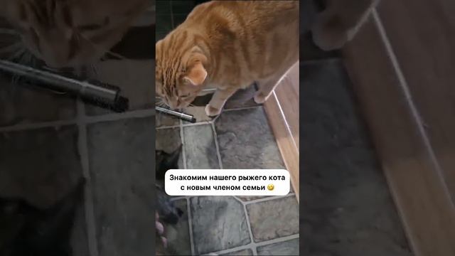 Это не я