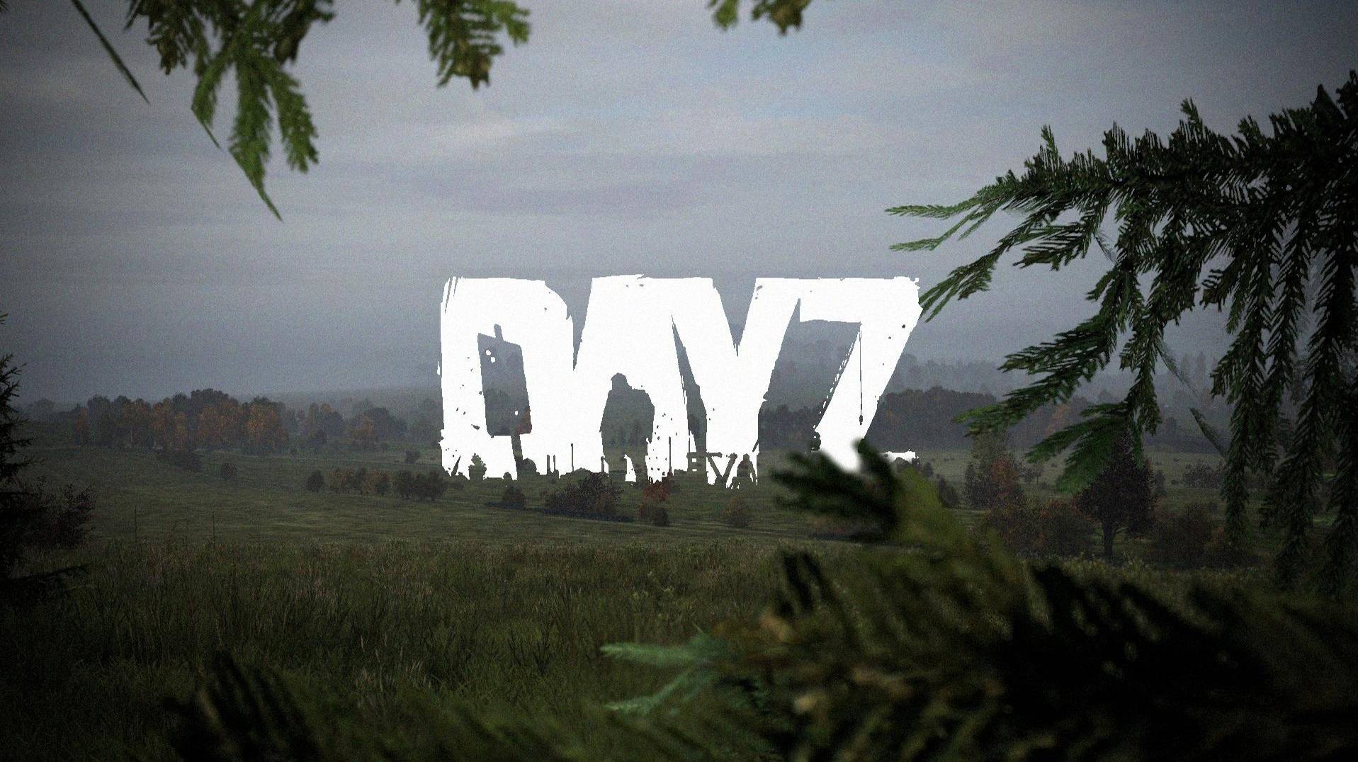 DayZ выживание на ваниле.