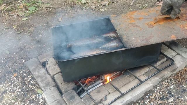 Закоптили скумбрию горячего копчения