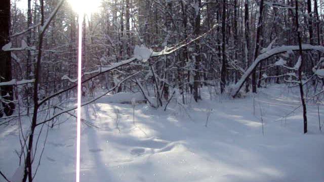 Прекрасная погода на лыжне