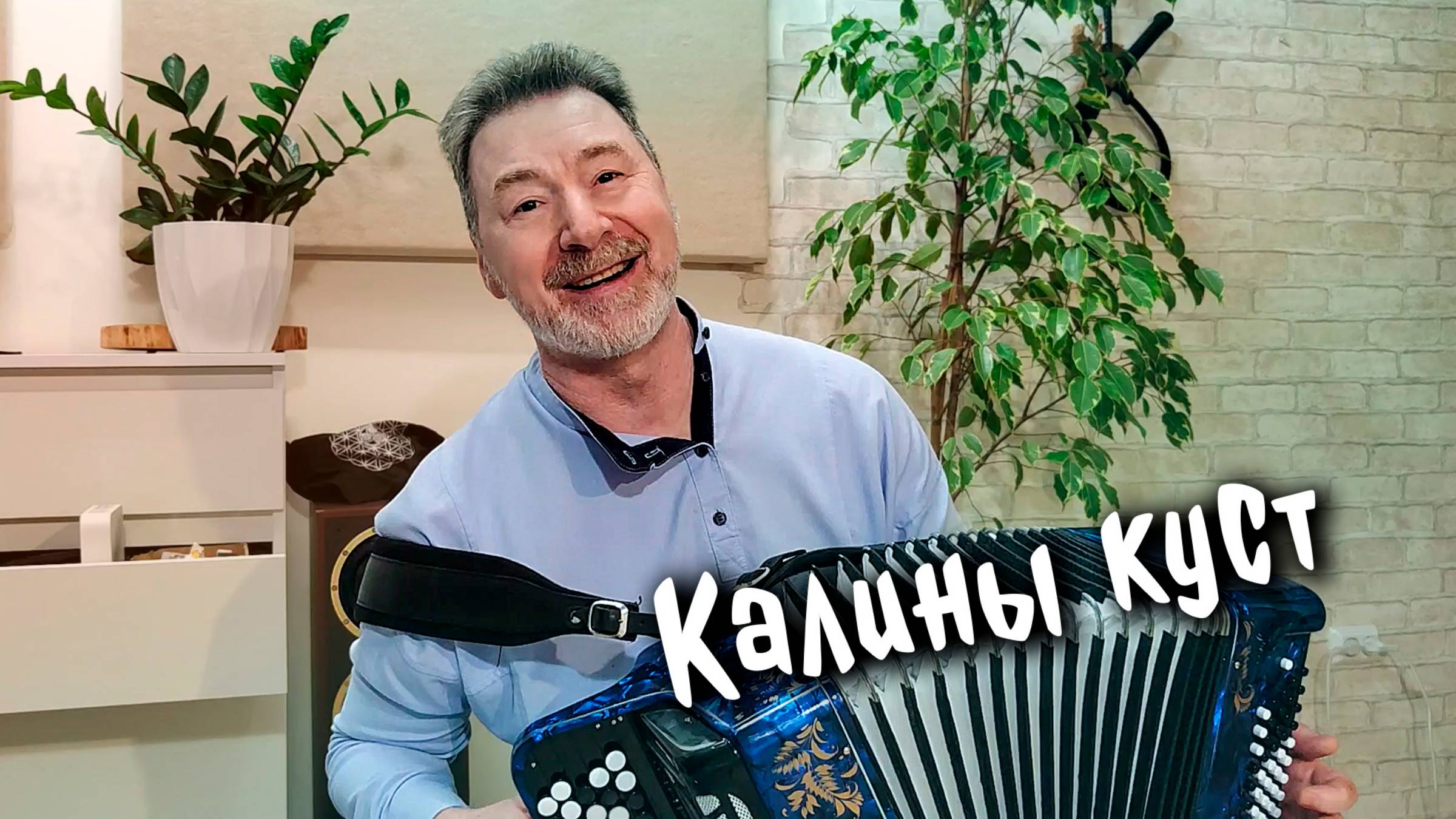 Калины куст