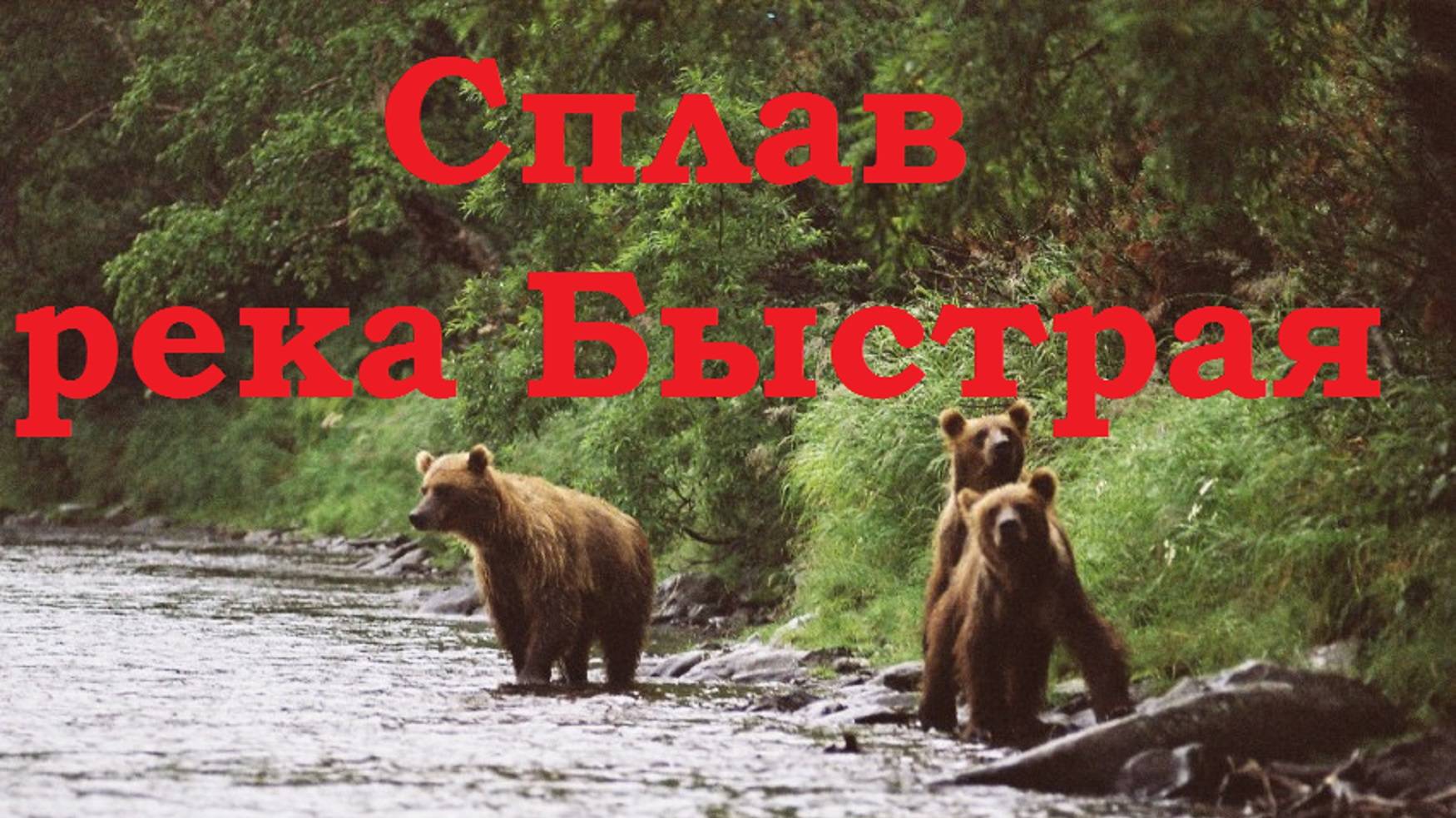 Камчатка 6 часть. Медведи. Рыбалка. Сплав по реке Быстрая 3 серия!