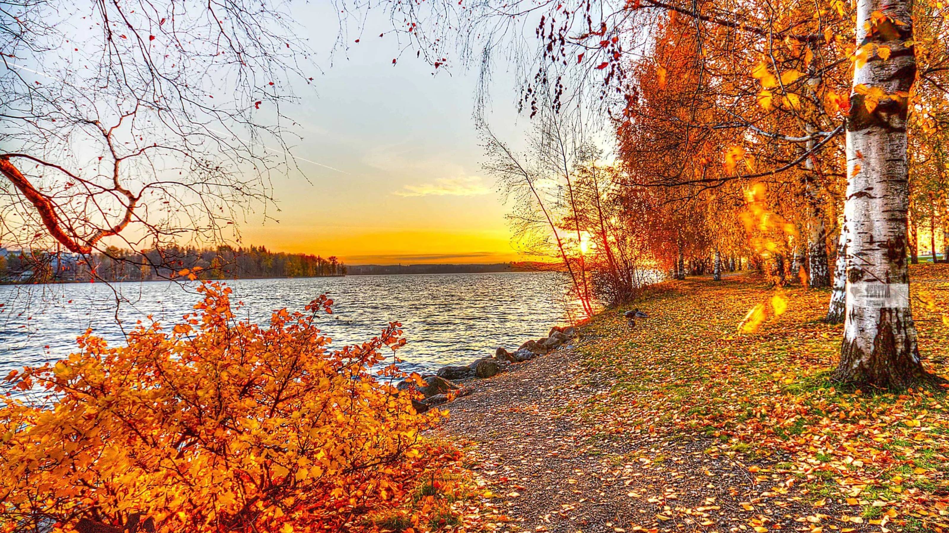 Золотая пора (баян) 🎶🍂