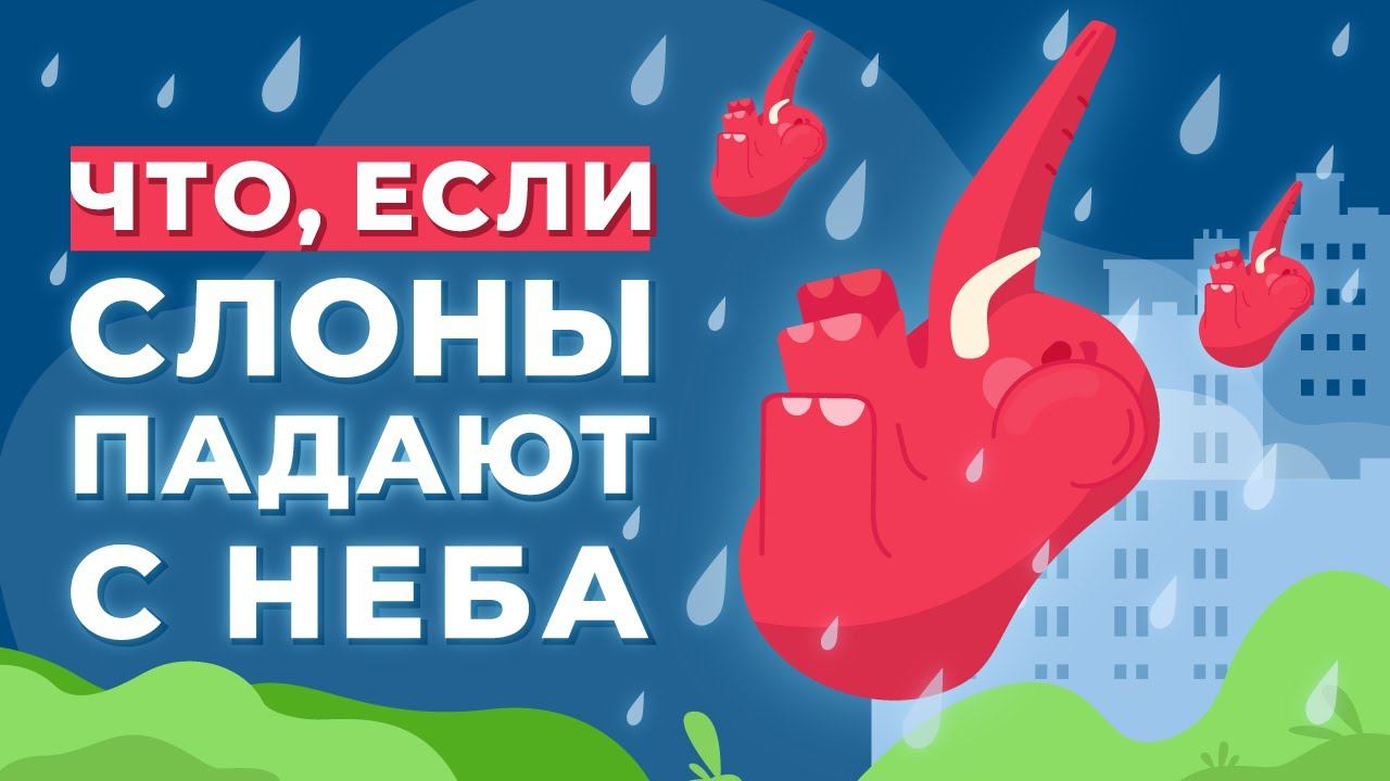 ЧТО, ЕСЛИ с неба начнут падать СЛОНЫ?