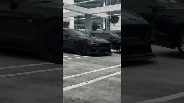 Black Mustang-international Friends. 
Написано для настоящих друзей! 
Beat prod by @metalsnakeprod
