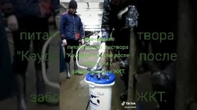 Дача при помощи  ведра с помпой "Каудринка" для новотельной коровы.