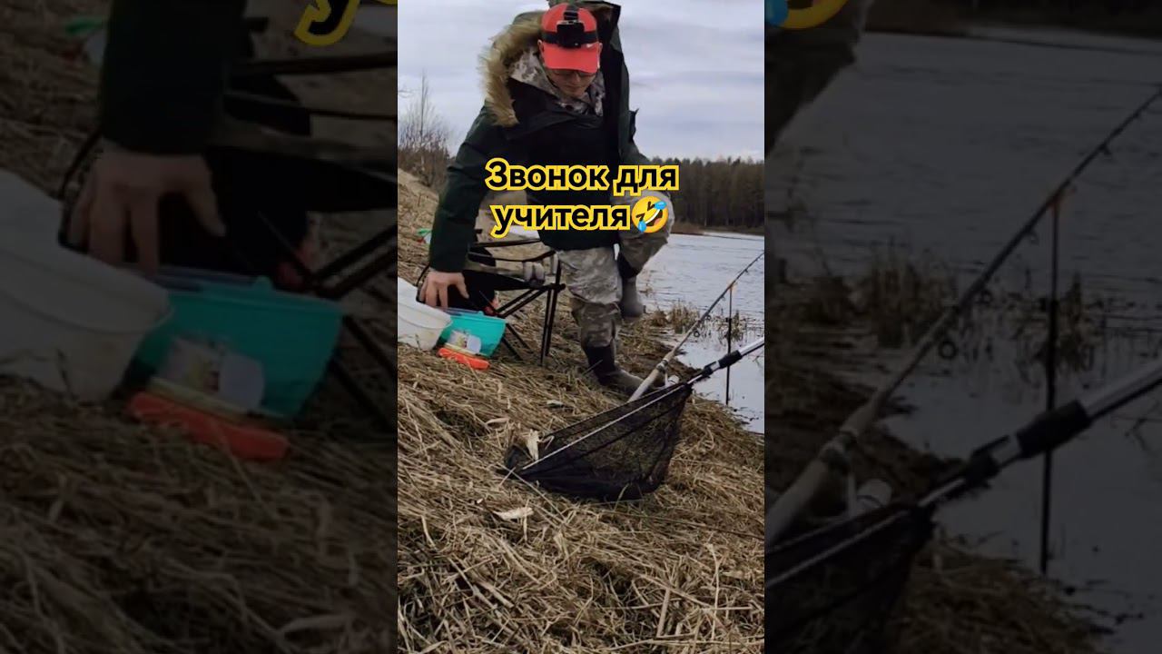 Реакция как у кошки  #рыбалка #fishing #рыба #hobby #nature #прикол #catch #carpfishing