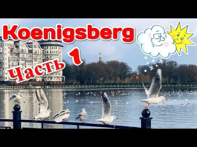 Koenigsberg | Балтика. Часть 1