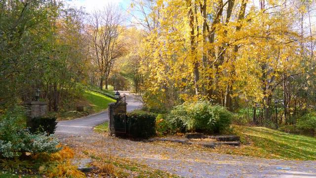 Осенняя атмосфера , листва 🍁🍂 Уютные дома 🏡
