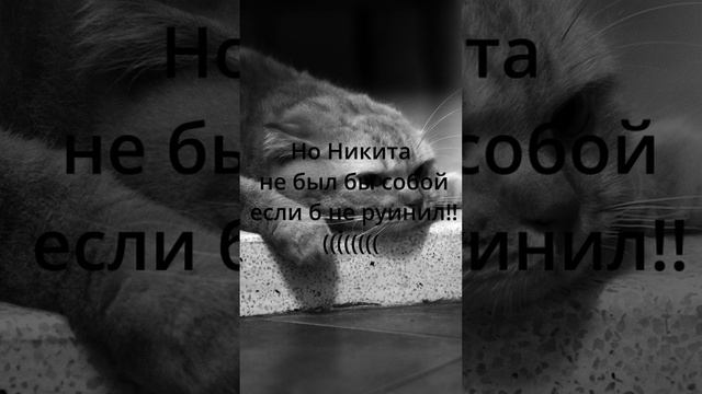 Битва за Рошу,но есть нюанс(Никита) #dota2 #streambor #дота2смешно #мем#дота #dota #дота2