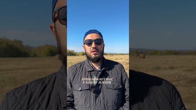 Красивый стих