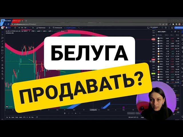 Белугу продавать или покупать? Обзор на акции Белуга