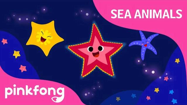 Shooby dooby doo Starfish | Sea Animals Song | Pinkfong Songs for Children