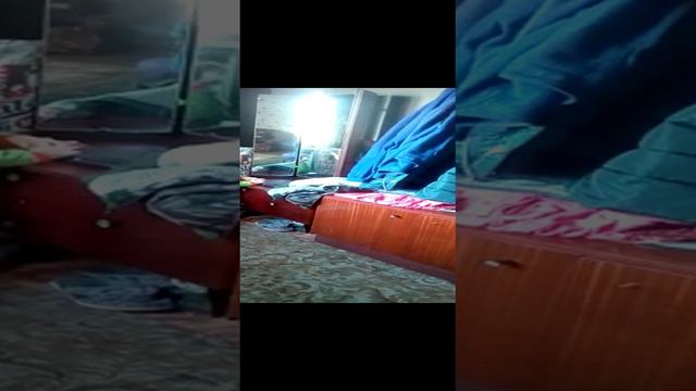 VID-20211201-WA0002.mp4