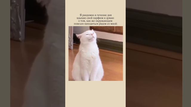 С любовью, от Essens💕