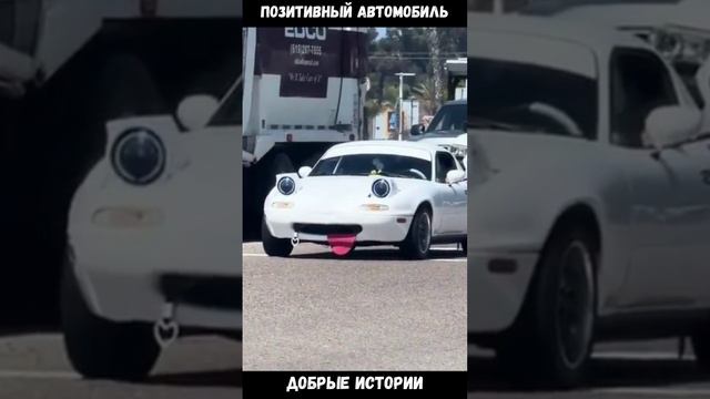 Весёлый автомобиль.