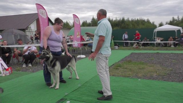 Сравнение промежуточного класса