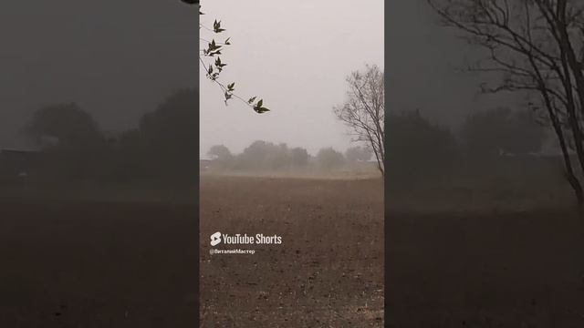 Пыльная Буря. Ростовская область Целинский район с Лопанка.