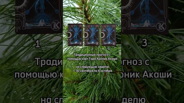 ➡️ Значение карт смотри в моем ТГ-канале Ashadeva - https://t.me/ashadev