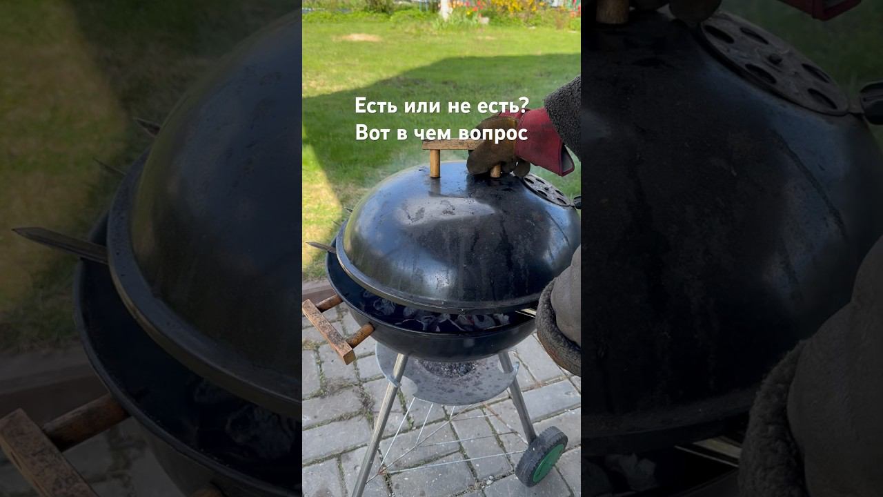 Майский шашлык! За и против? #продуктивность #бизнескоучинг #коуч