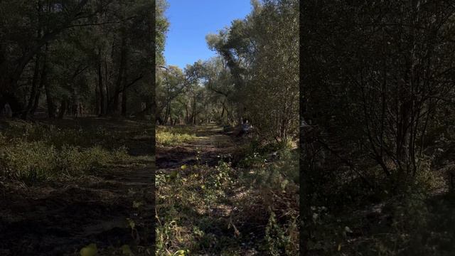 1 Водное препятствиве l джип спринт l категория стандарт