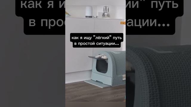 приятного просмотра