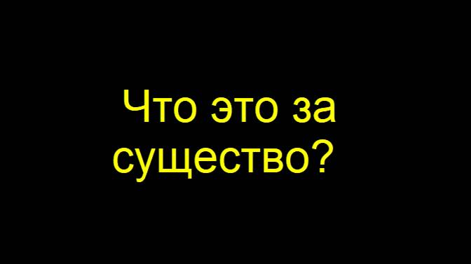 ЧТО ЭТО ЗА СУЩЕСТВО?