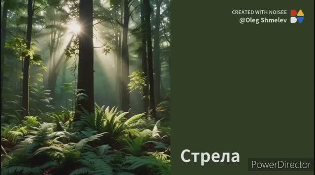 Стрела (cover Гребенщиков - серебро Господа моего)